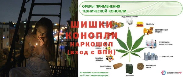 spice Каменка