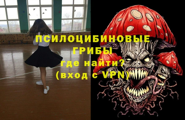 первитин Каменногорск
