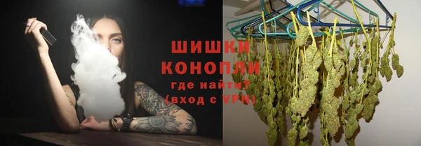 spice Каменка