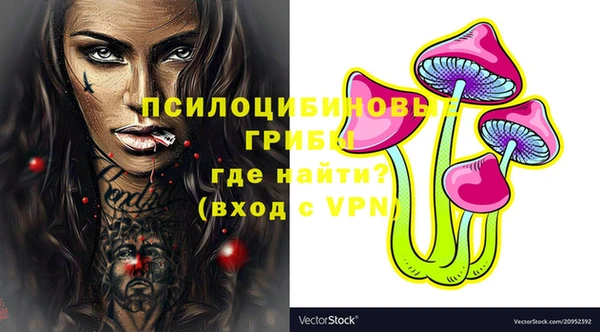 первитин Каменногорск
