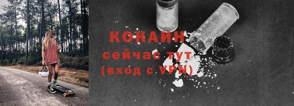 spice Каменка