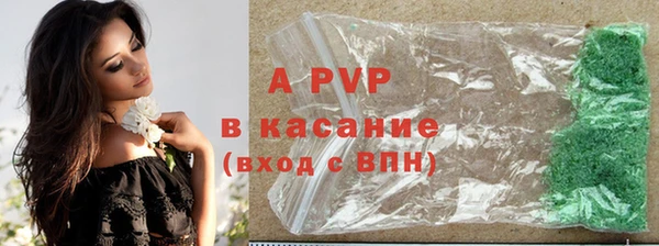 spice Каменка