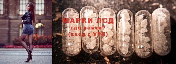 spice Каменка